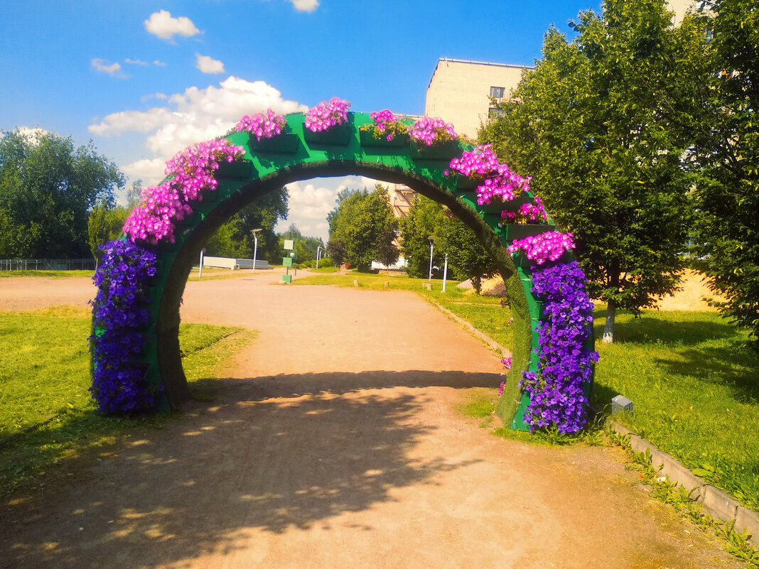 Цветочная арка - Сергей Кочнев