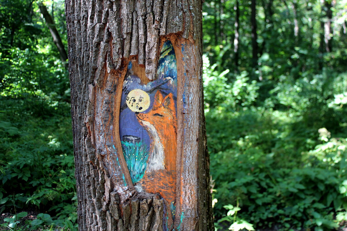 Лисичка в дереве - Марсель Валеев