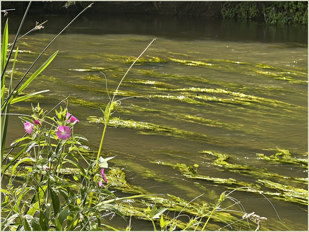 ******** - Валерия Комова