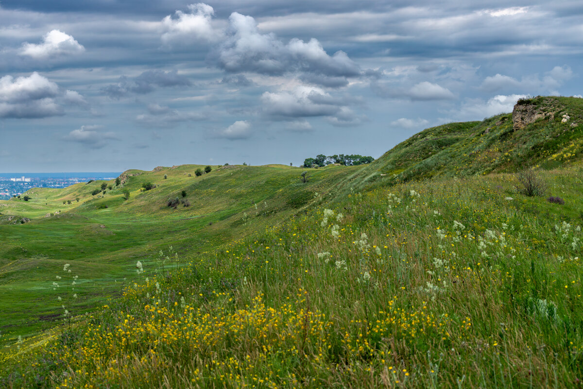 Окрестности - Игорь Сикорский