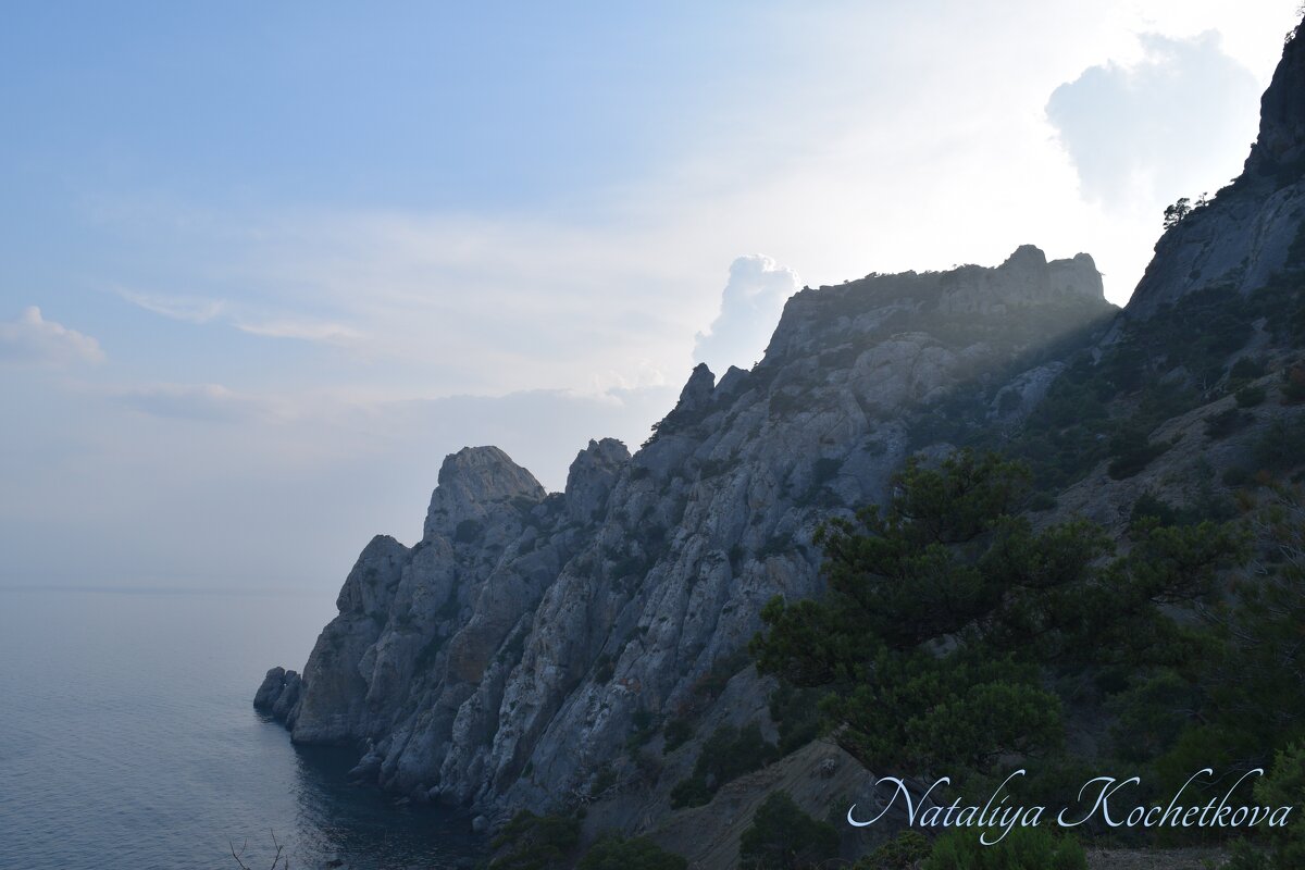 Природа Крыма - Amazing Cosmea