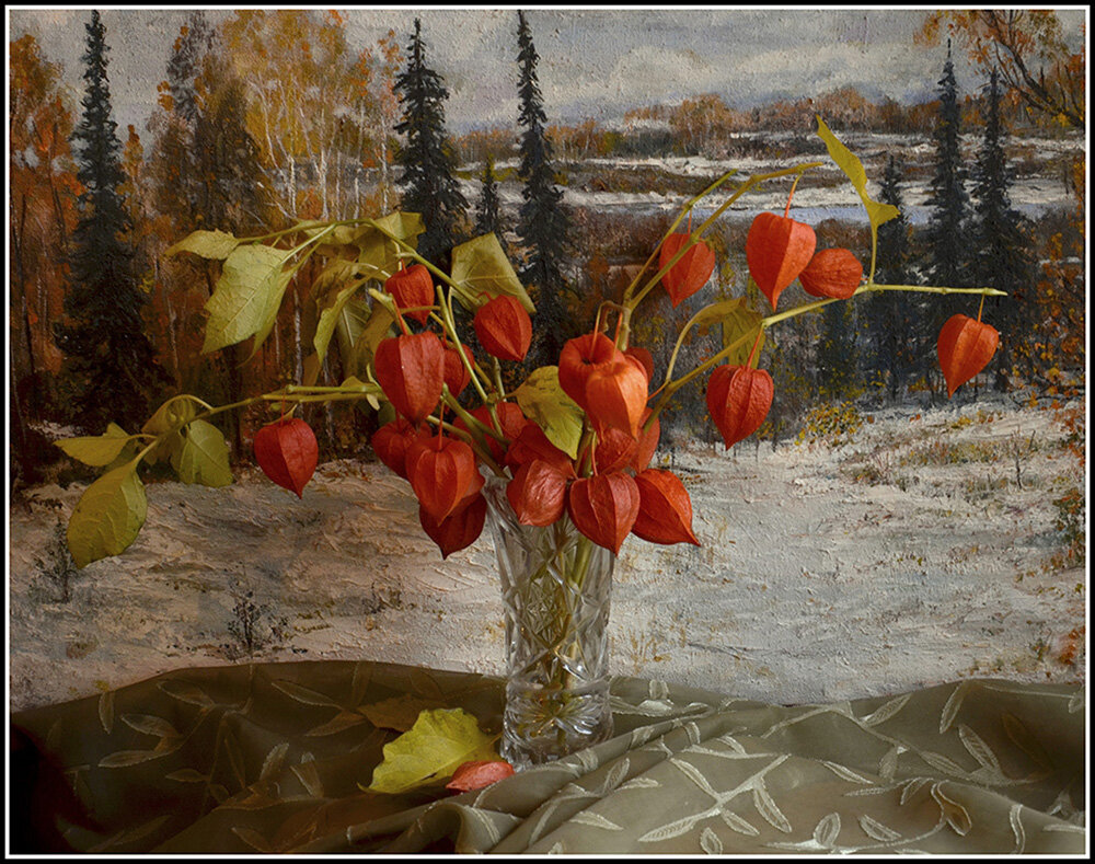 С физалисом - Aleksandr Gal