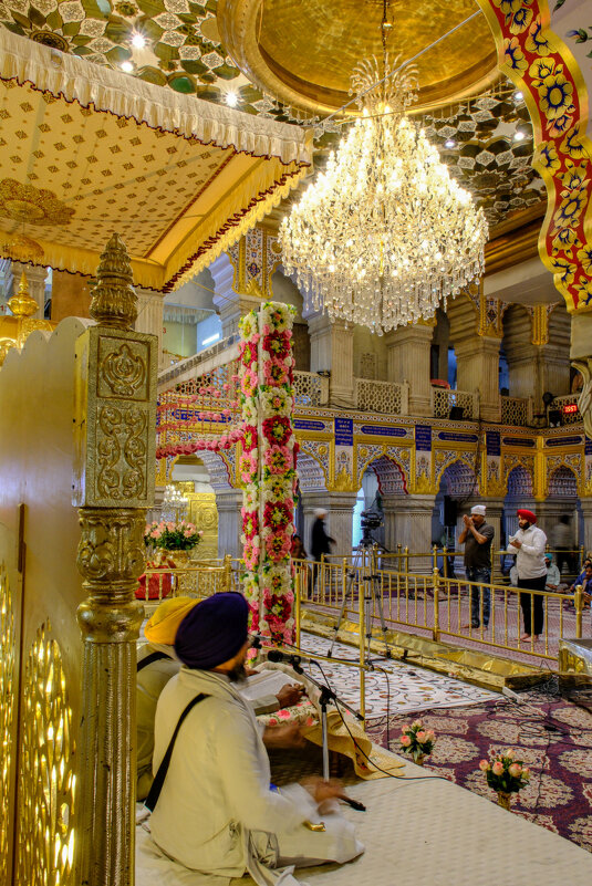 Музыканты в сикхском храме - Георгий А Музыканты в сикхском храме - Георгий А