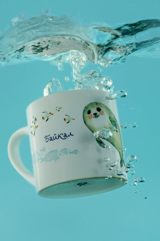 Байкальская нерпа 2 - Denis Doroshenko