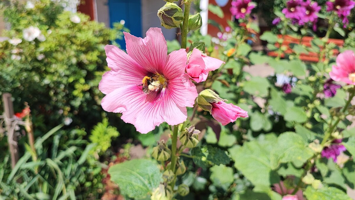 ,,, - Сергей Тимоновский