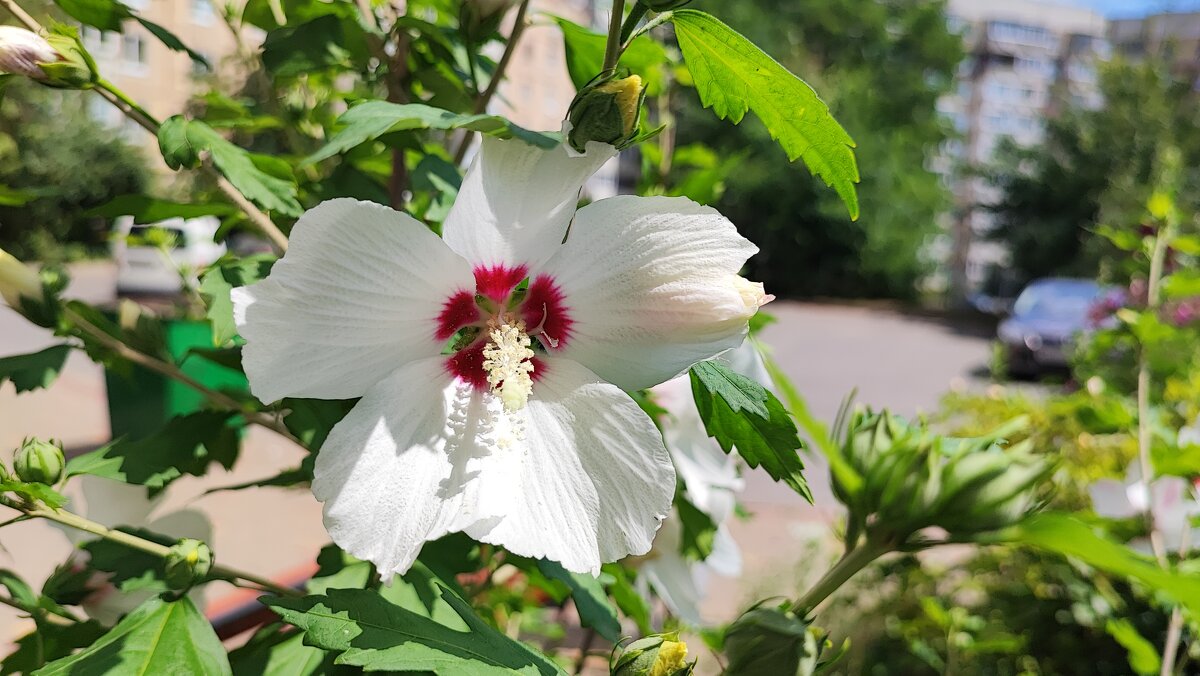 ,,, - Сергей Тимоновский