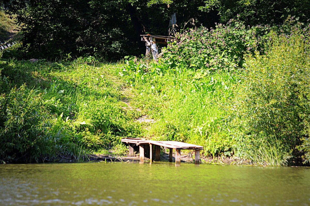 Где-то по реке Иня - Татьяна Лютаева