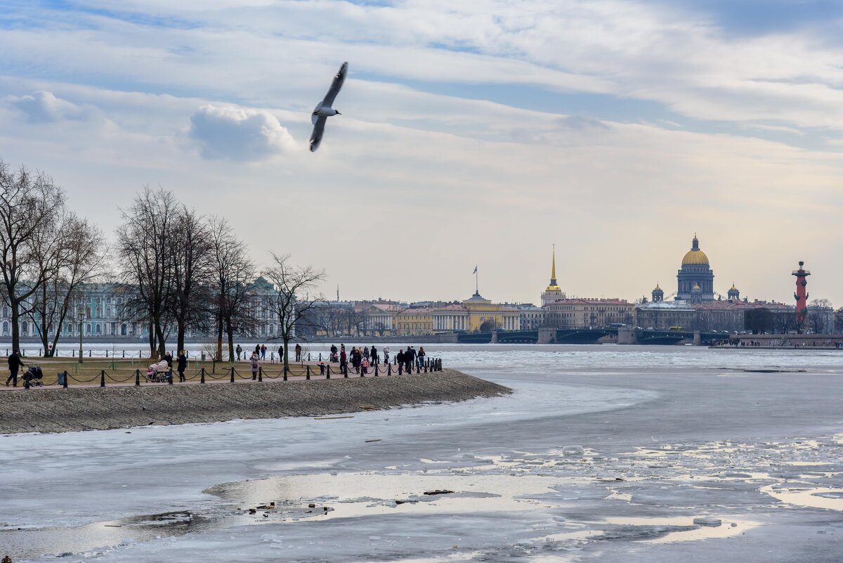Санкт-Петербург - Максим Сорокин