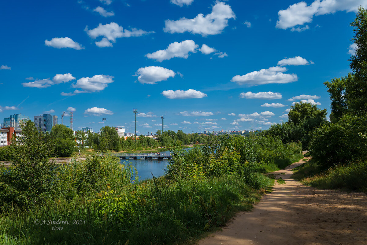 Природа на городском озере - Александр Синдерёв