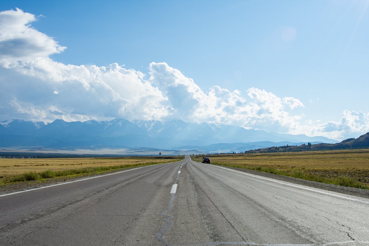 *** - Николай Чекалин