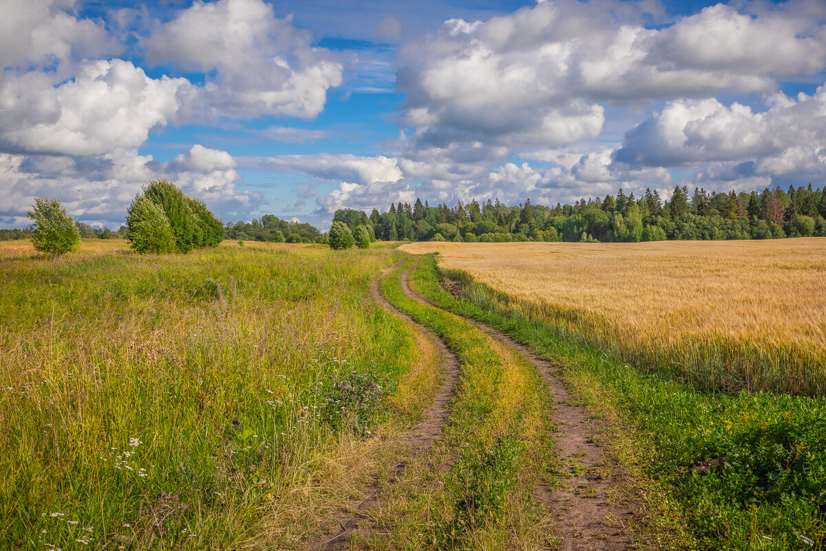 **** - Елизавета .