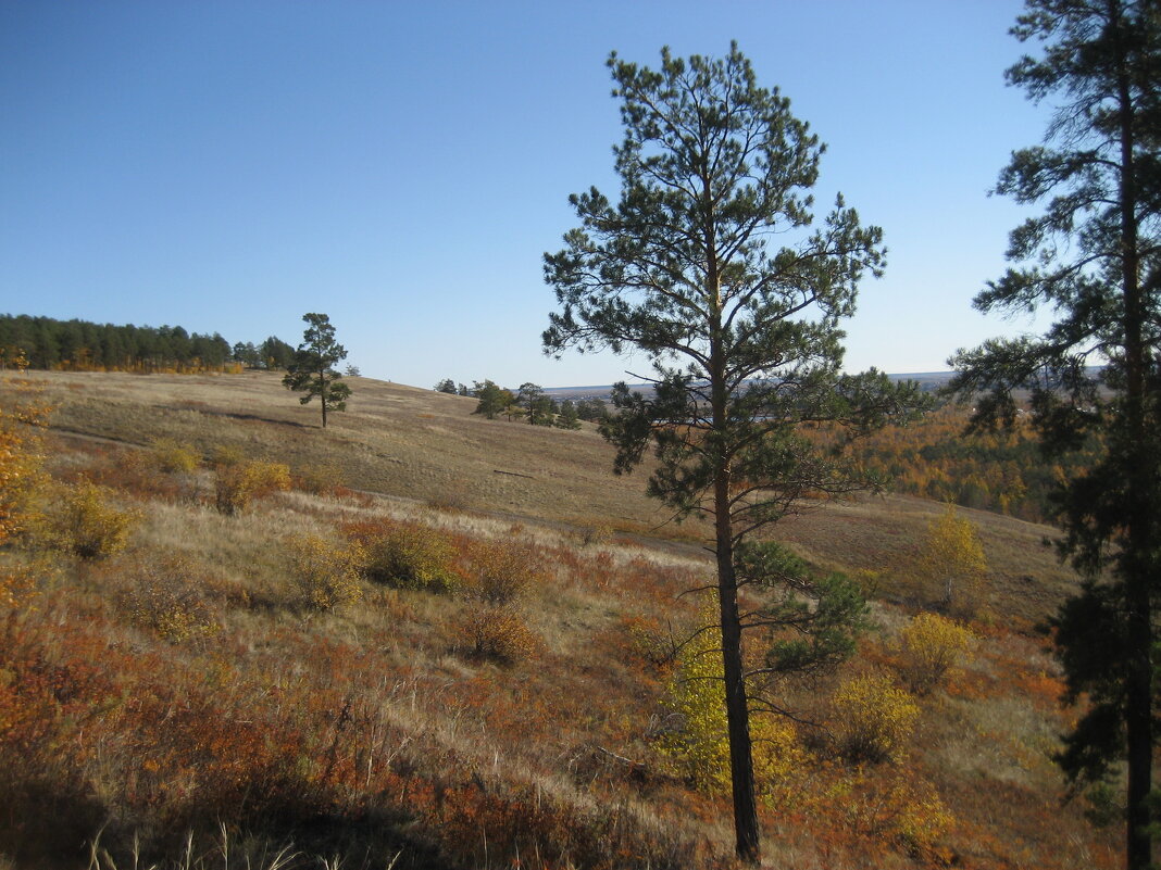 Осень - Anna Ivanova