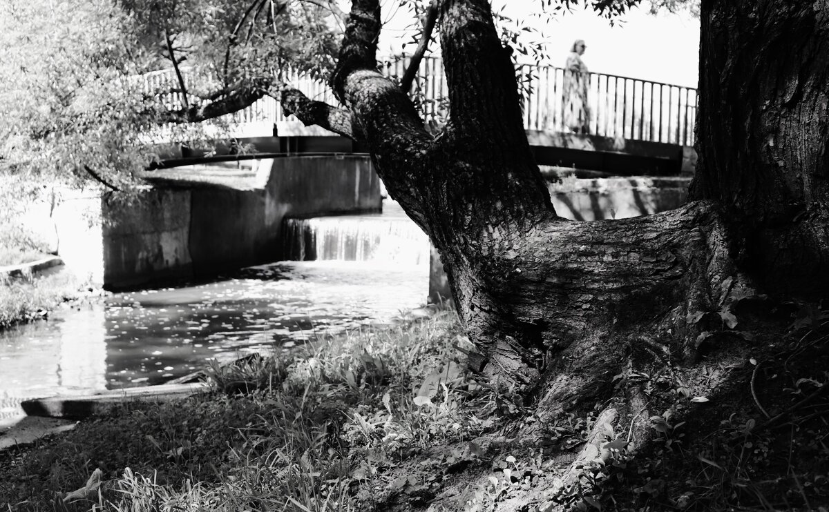 Переход через дамбу. - Василий Палий