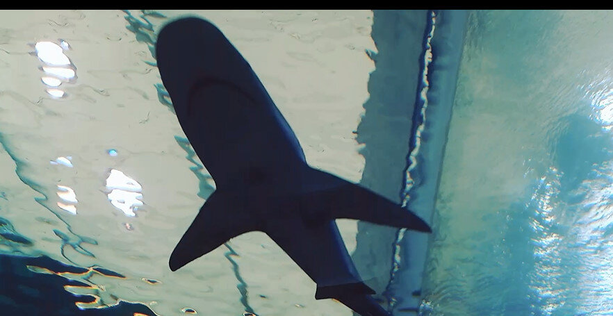 112 (116) - СТРЕН 