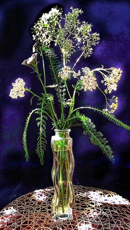 Вот она, разгадка! - veilins veilins