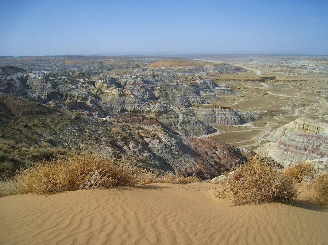 В заповеднике Пик Ангела, Нью-Мексико, США. - unix (Илья Утропов) В заповеднике Пик Ангела, Нью-Мексико, США. - unix (Илья Утропов)