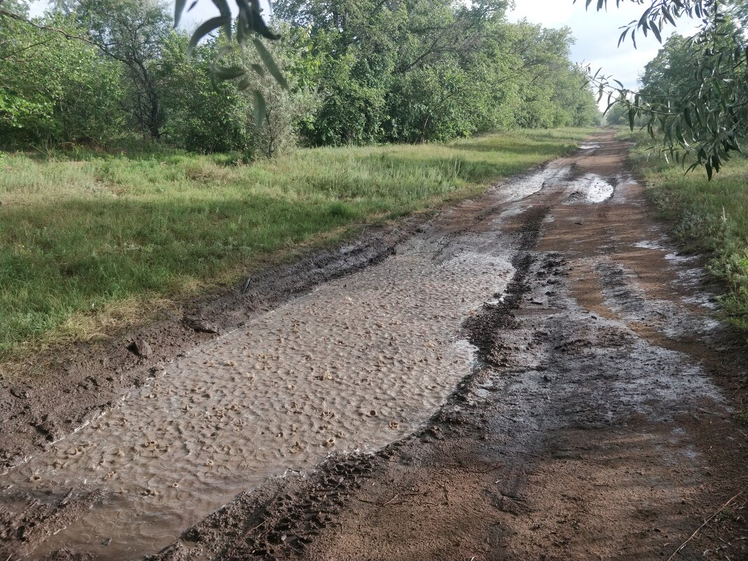 А дождь идёт - Андрей Хлопонин
