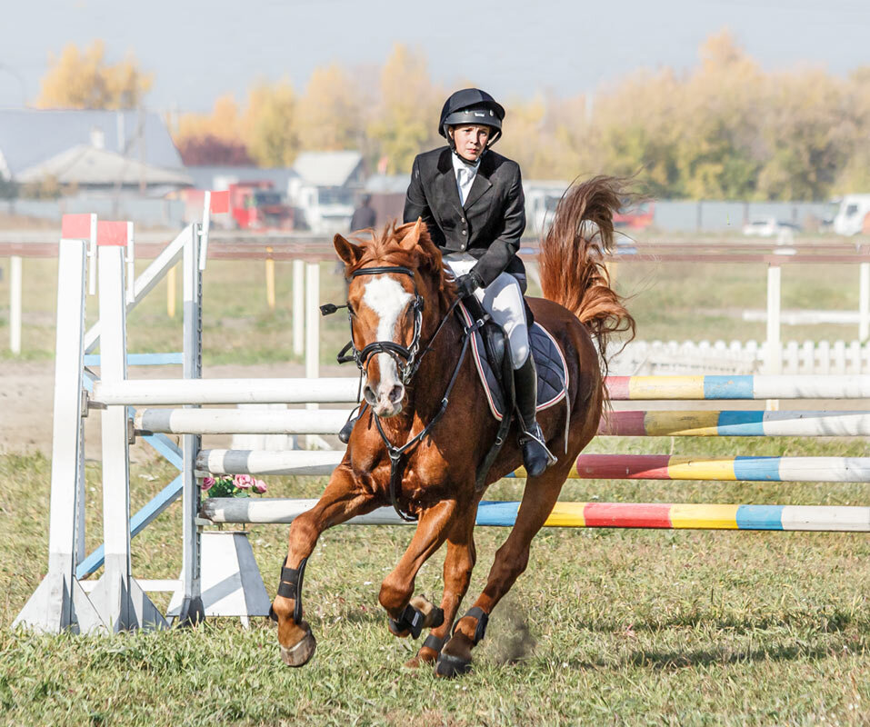 Конкур - SanSan 