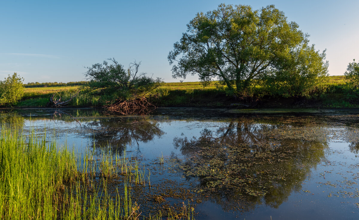 на пруду - Виталий Емельянов