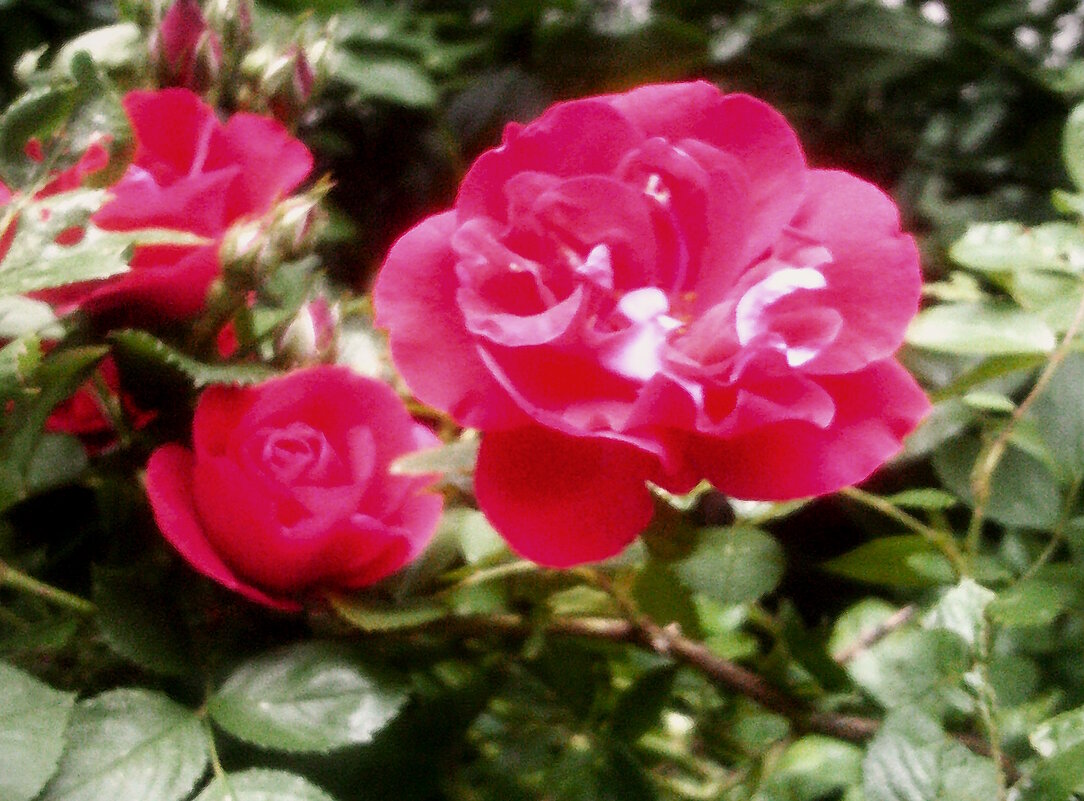 Летние - Сергей Уткин