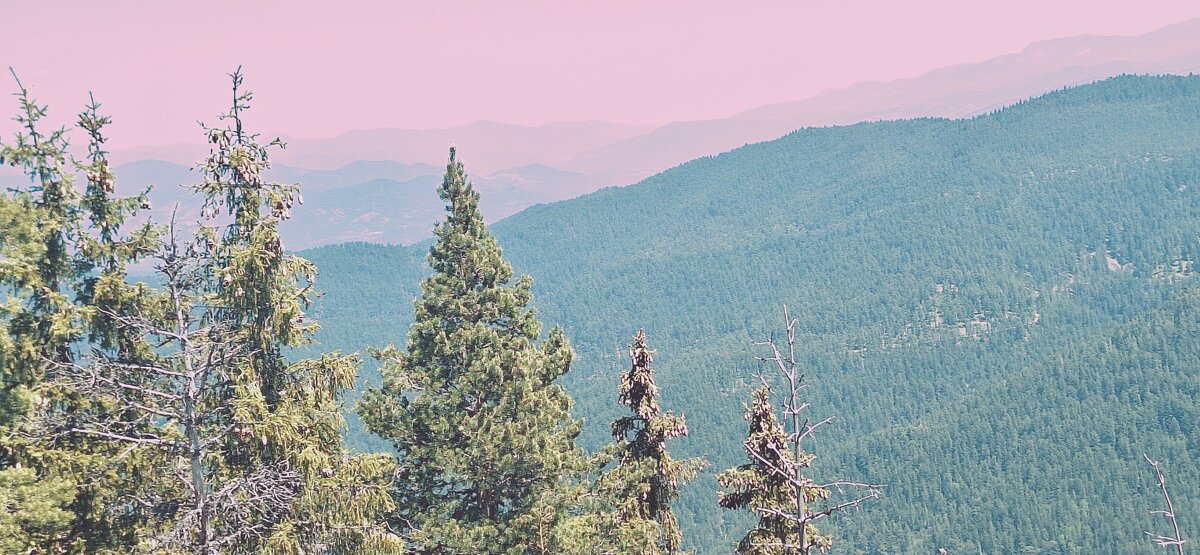 ЛЕ БО 5 (16) - CLOSE WAYS ALL