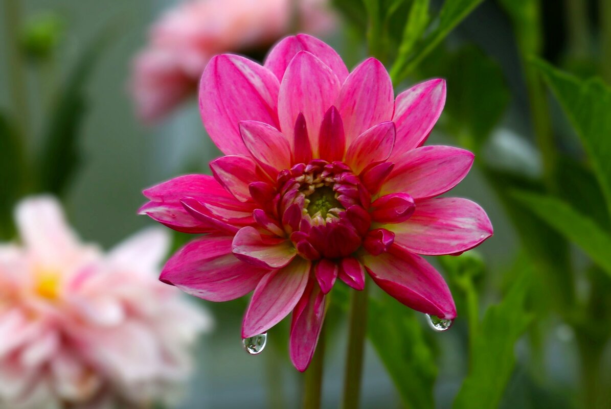 Доброе утро - Юрий. Шмаков