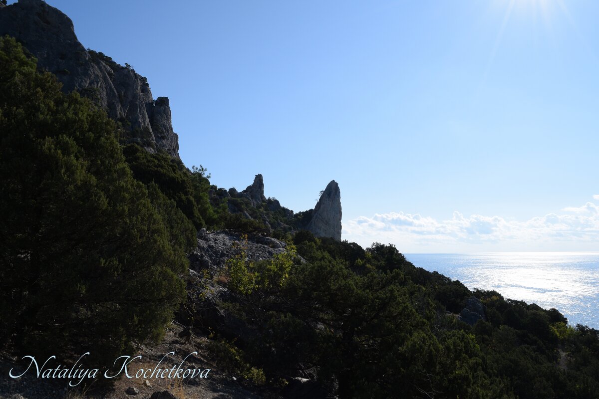 Природа Крыма - Amazing Cosmea