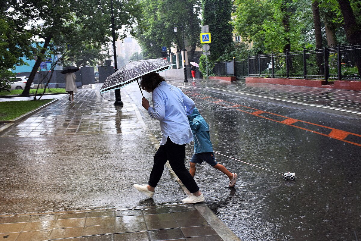 Пешеходы по лужам. - Татьяна Помогалова