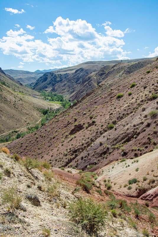 *** - Николай Чекалин *** - Николай Чекалин