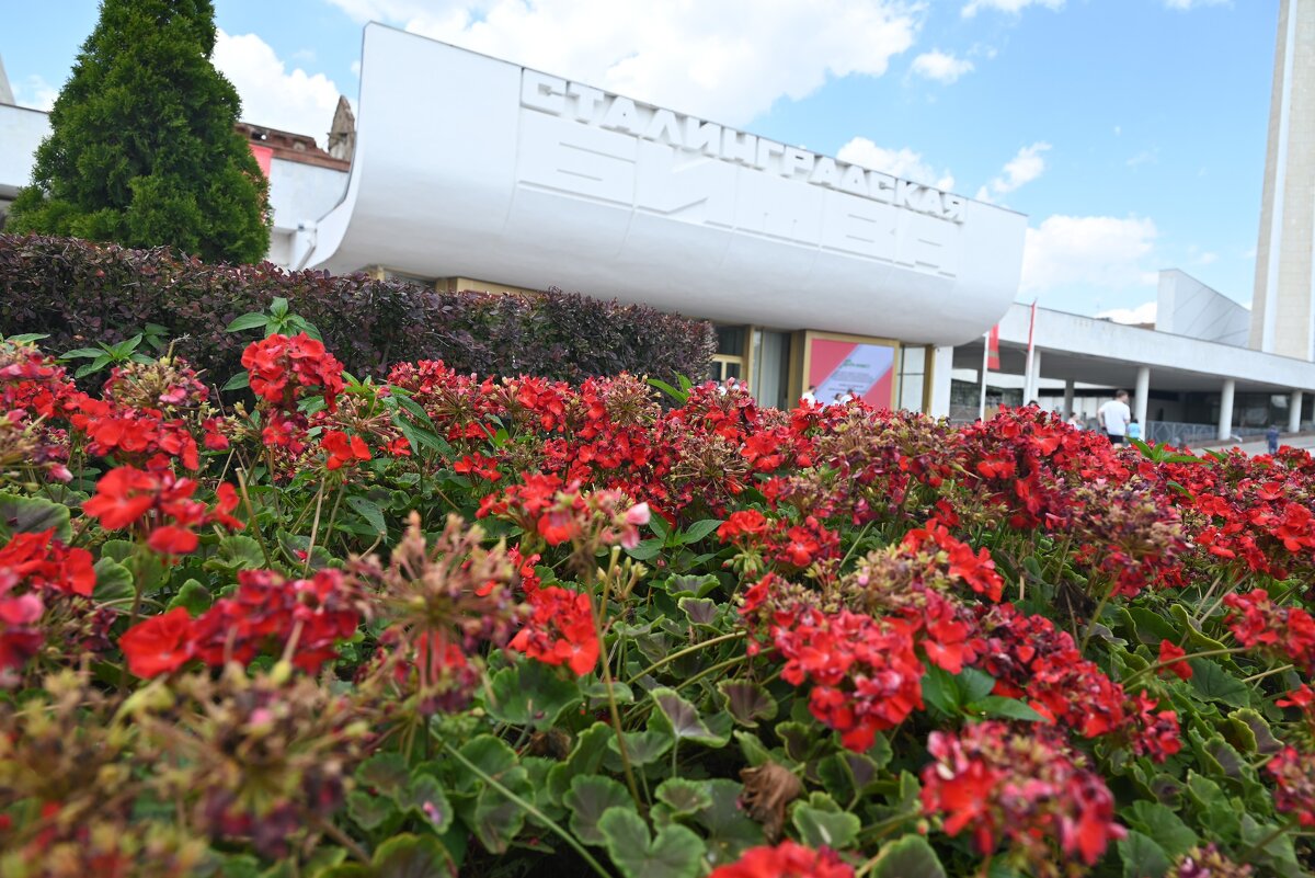 .. - Митяй Митрич