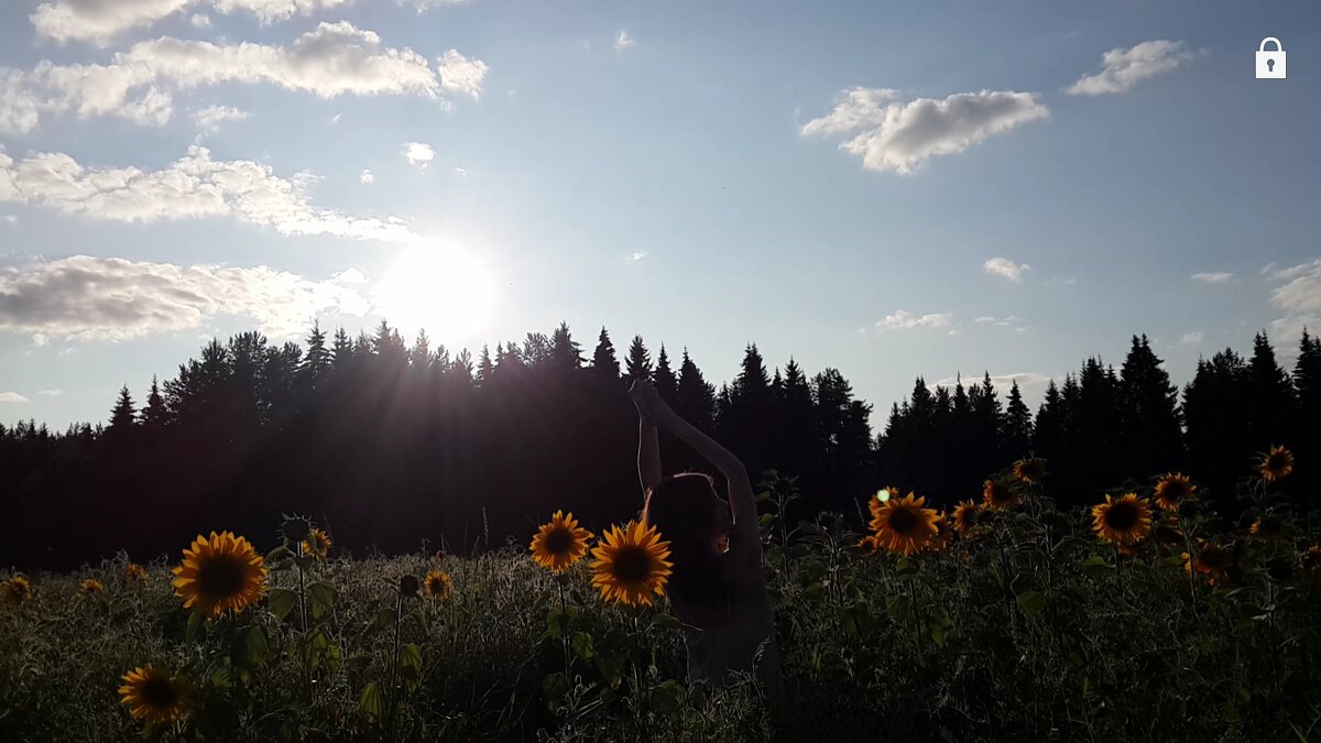 Любовь от солнца и его света - Светлана Лапка