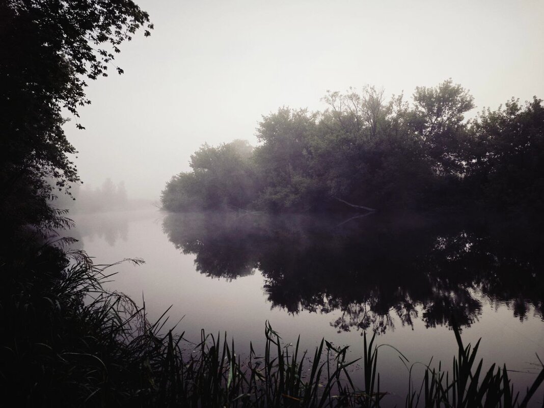 Утренний пейзаж - Екатерина 