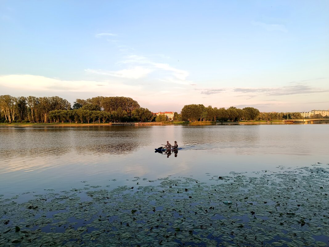 Июльским вечером на Ижоре - Мария Васильева Июльским вечером на Ижоре - Мария Васильева