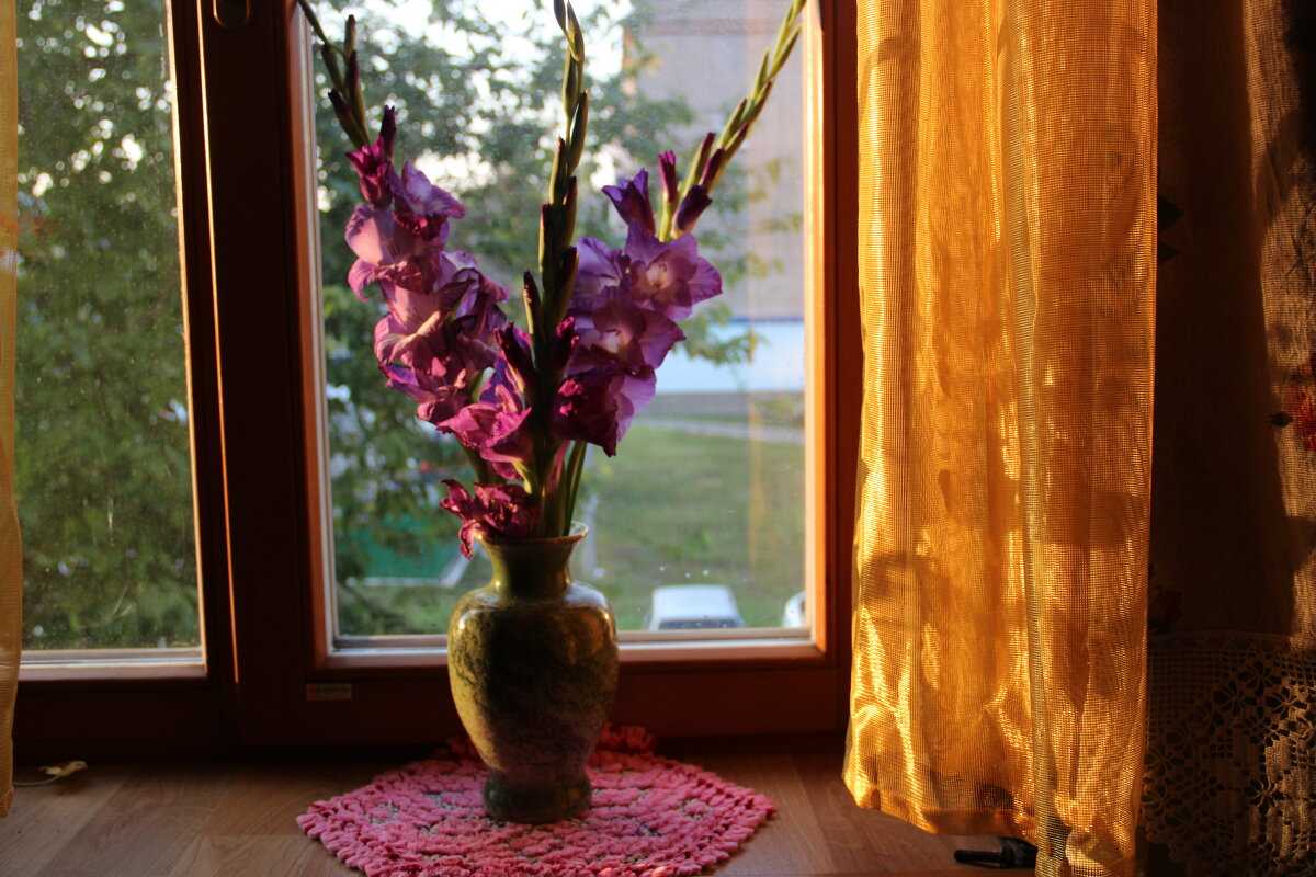 Мой дом. - Венера Чуйкова