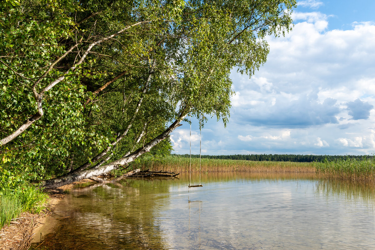 Белое озеро - Александр Мезенцев