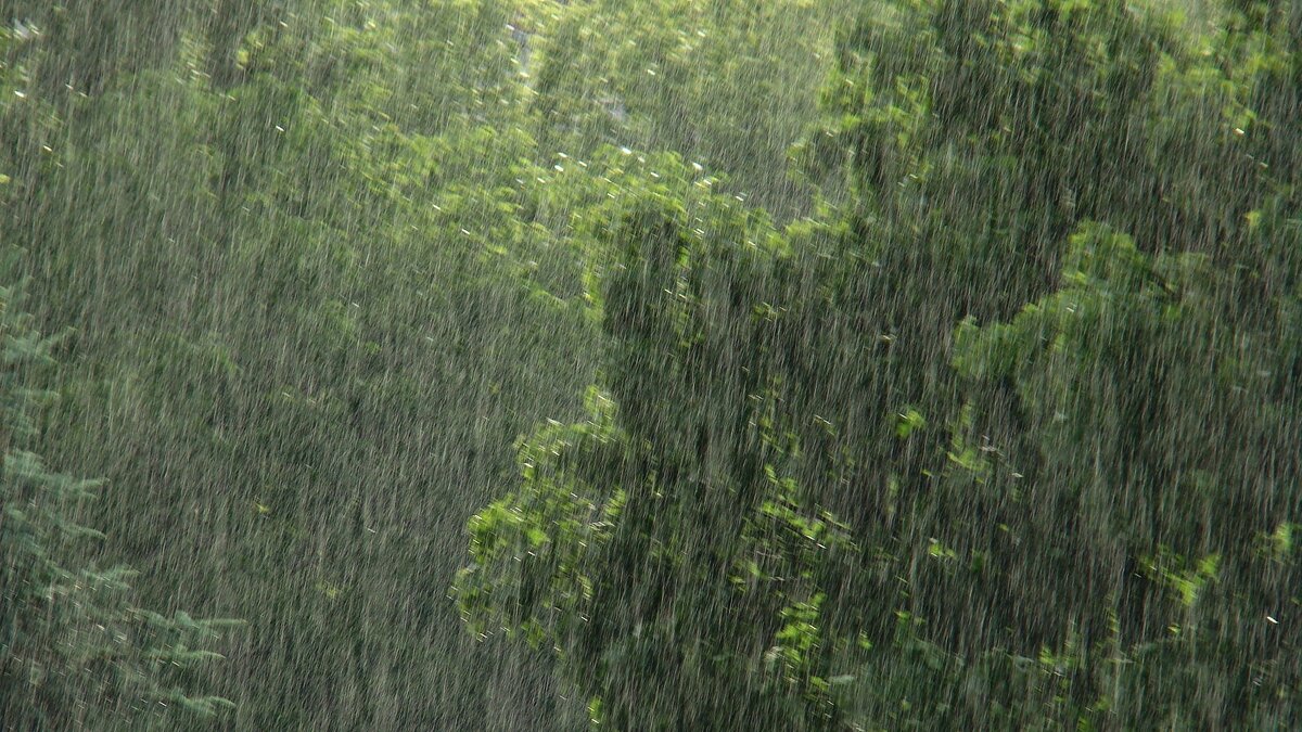 Весна с балкона... - Syntaxist (Светлана)