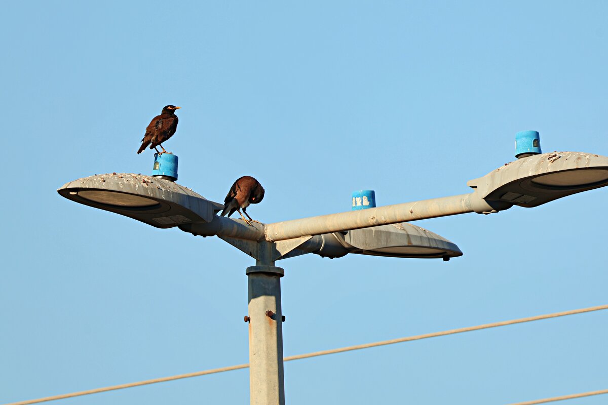 Утро - Аркадий Басович