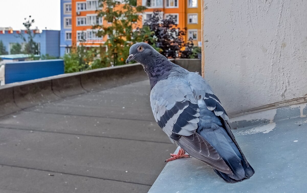 Вам улыбнуться или как? - Валерий Иванович