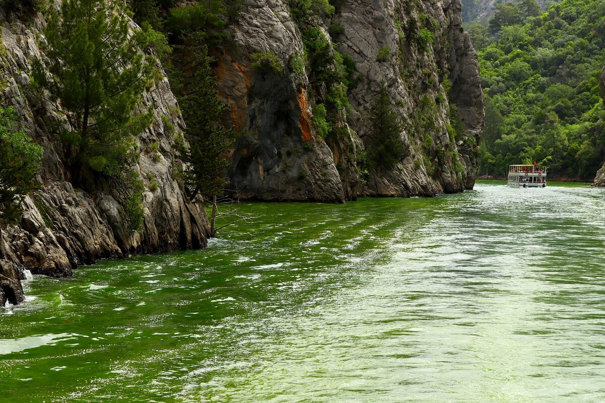 Зелёный каньон - Юрий. Шмаков