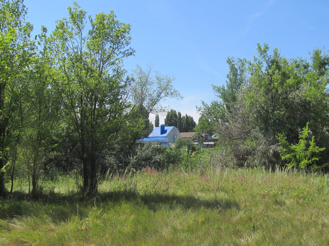 июль - Елена Шаламова