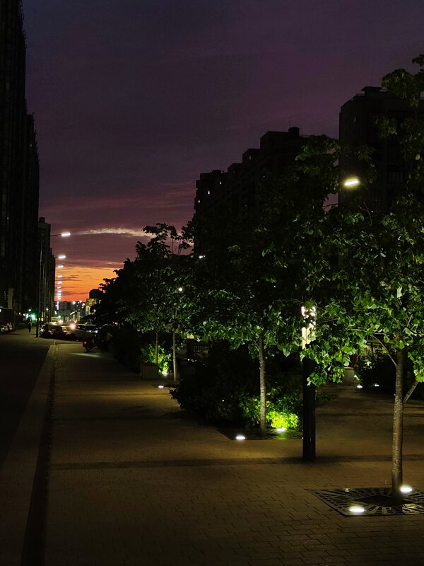 Летнее утро! - Андрей 