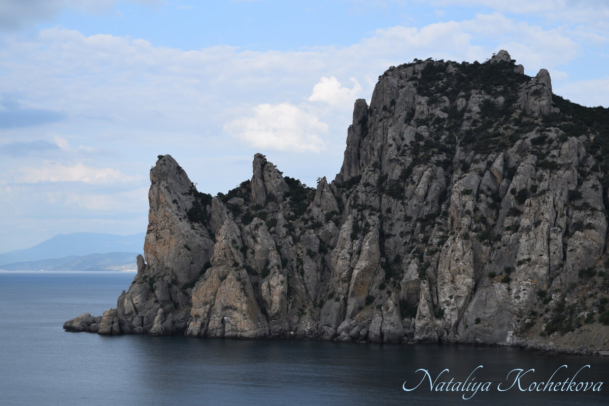 Природа Крыма - Amazing Cosmea