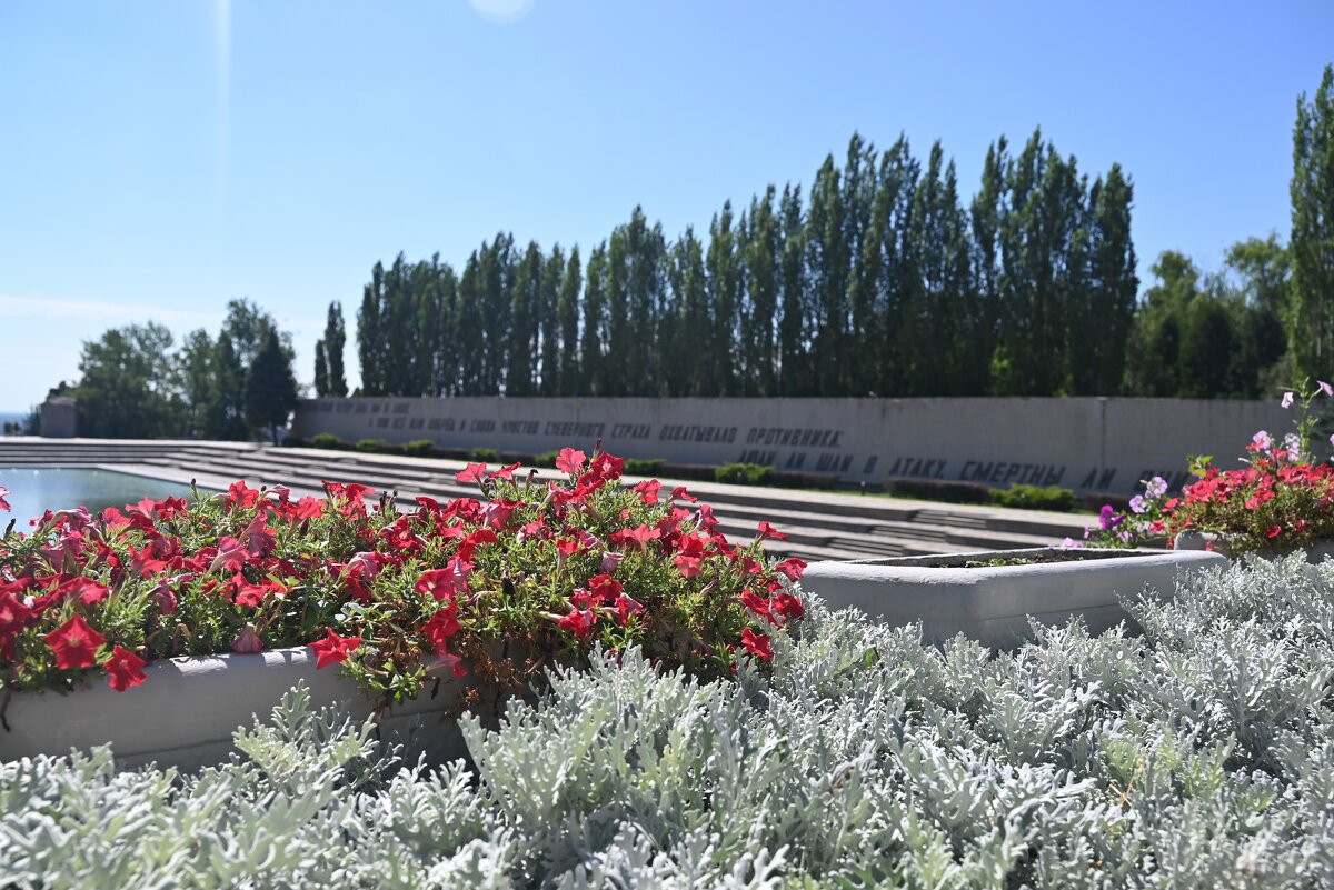 ... - Митяй Митрич