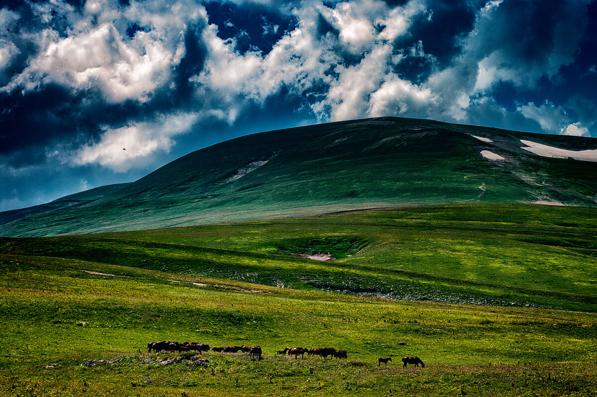Альпийские луга - Игорь Хижняк
