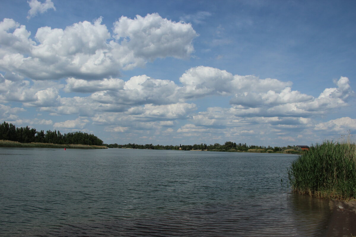 Дон. - Виктор 