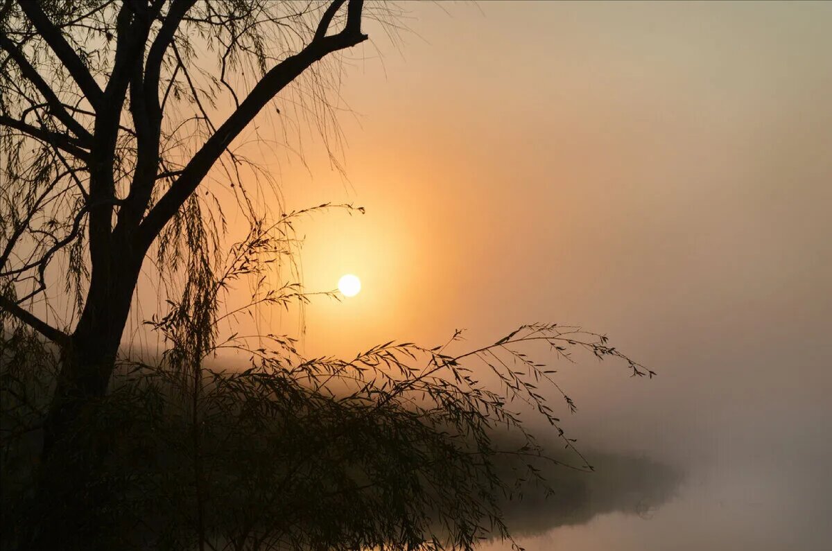 Туман  сизый над рекой тихо стелется... - Надежда Куркина 