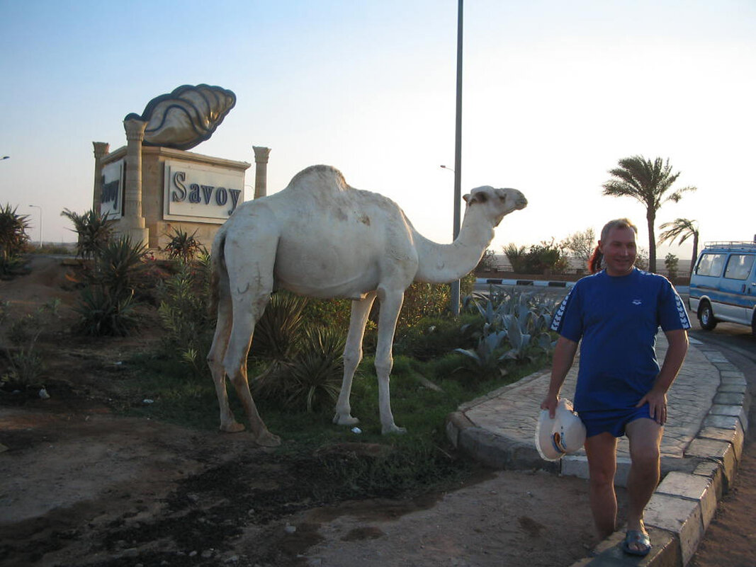 Egypt - Андрей Л. В.