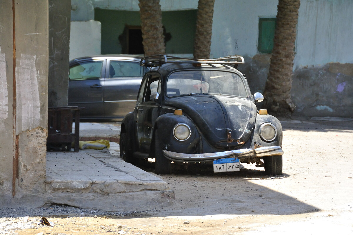 *** - Марина Виноградова