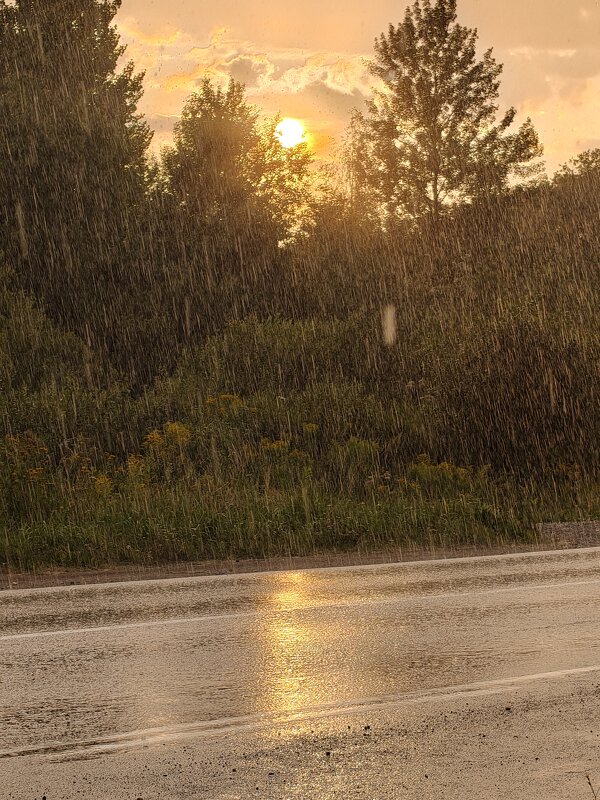 Дождь - Андрей 