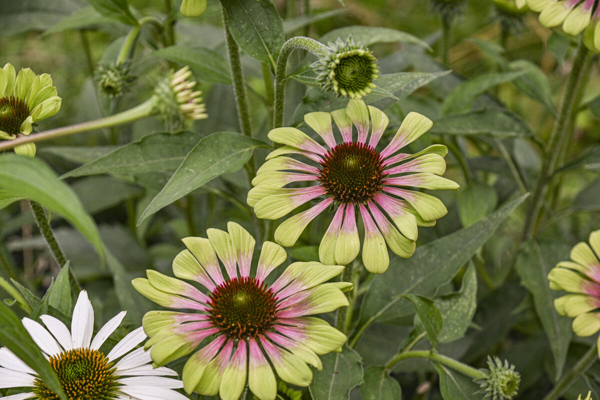 * - Осень * - Осень